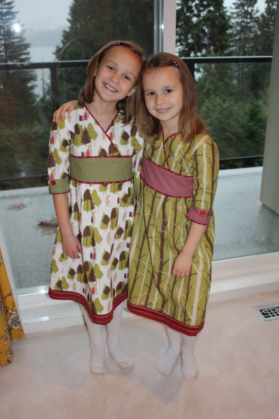 Post image for library dresses for santa visit